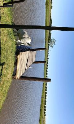 Farm For Sale in Kliprivier, Randvaal