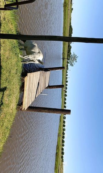 Property For Sale in Kliprivier, Randvaal